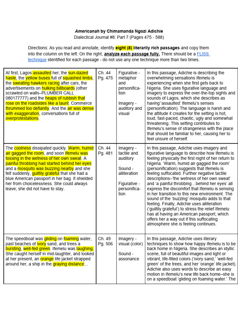 Americanah: Dialectical Journal #8 (Part 7) | PDF