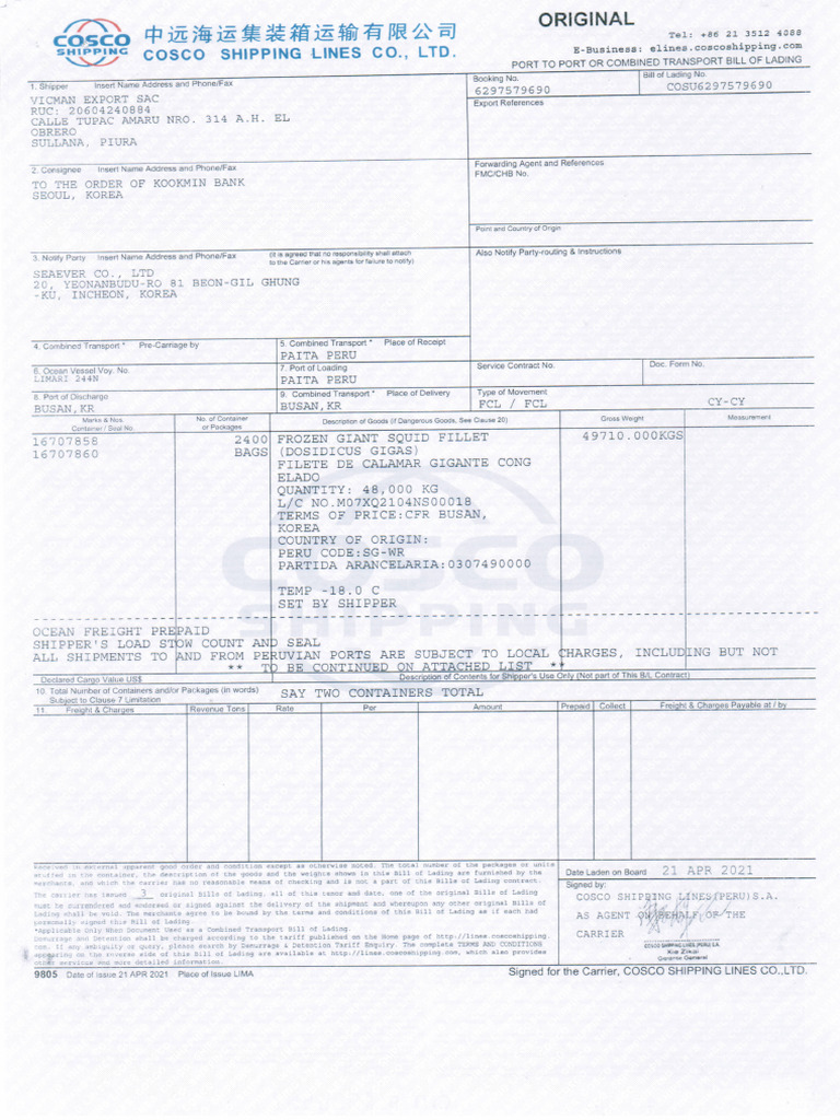 De Transporte Bill Of Lading Pdf