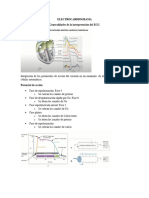 Generalidades ECG