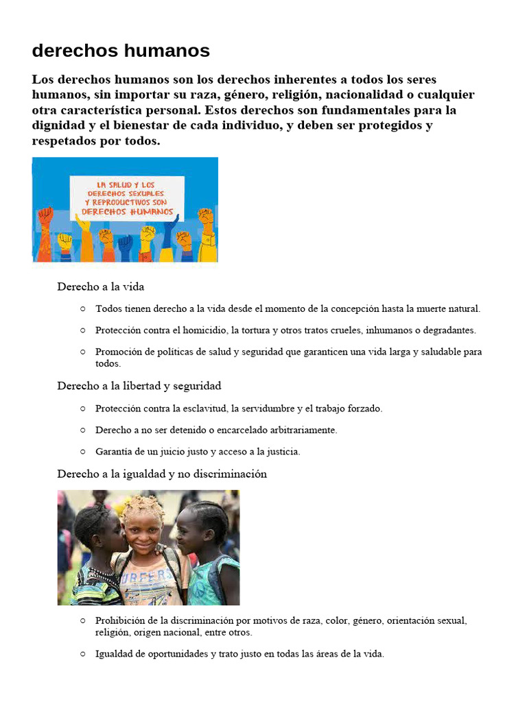 Plan de Trabajo | PDF | Igualdad social | Derechos humanos