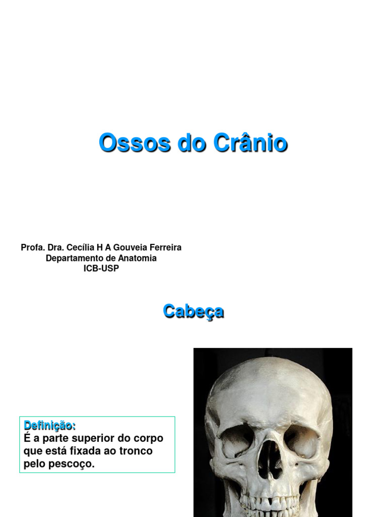 8 Ossos Do Crânio Pdf Crânio Sistema Locomotor