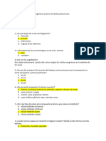 Sistema Vascular - 2