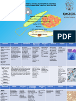 Tabla de Protozoarios No.5
