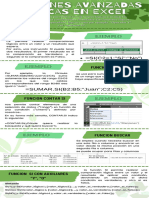 Infografia Sobre Funciones Avanzadas en Excel