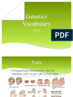 Genetics Vocabulary