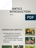 Genetics Intro