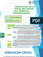 Mapa Conceptual y Analisis Crítico