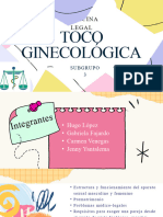 Toco Ginecologica - Subgrupo3 g6 9