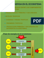 Flujo de Energia