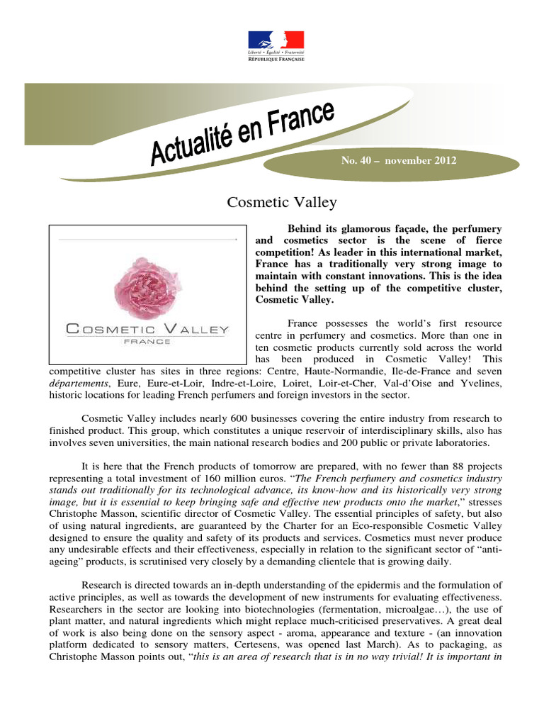 Cosmetic Valley En Pdf