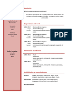 Plantilla Curriculum Vitae Basico