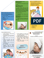 leaflet demam new