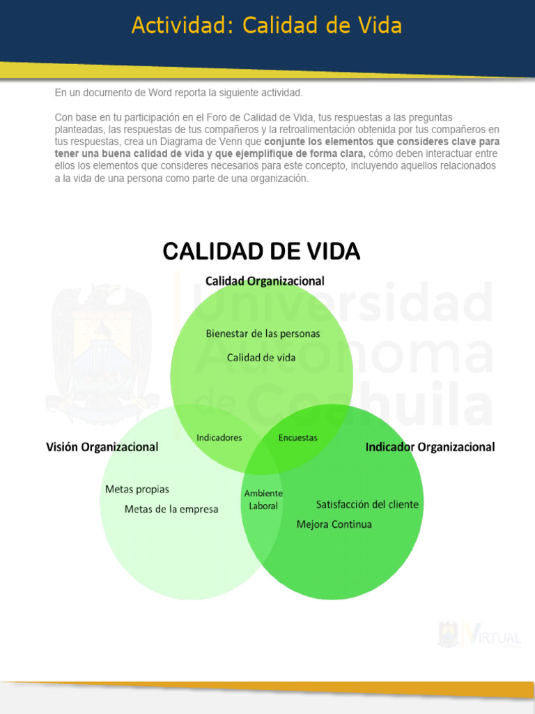 A Calidad de Vida | PDF