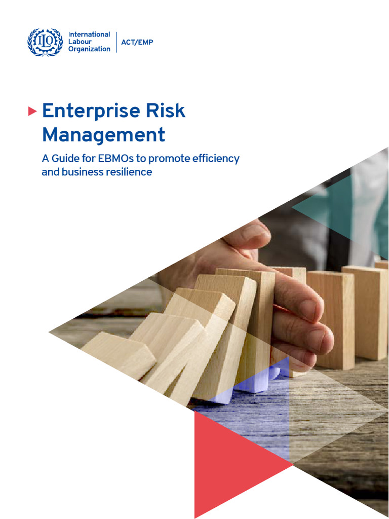 Enterprise Risk Management | PDF
