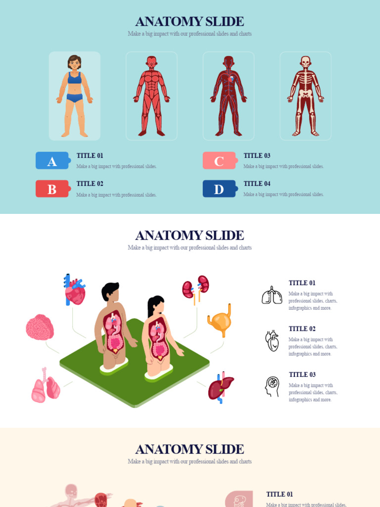 FOX FIRED ANCHOR: The Anatomy of a Journalism Icon's Downfall