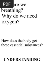 Understanding The Respiratory and Circulatory Systems