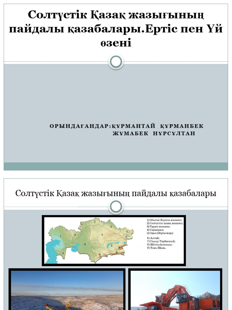 Соңында бүкіл пизканы жалайды