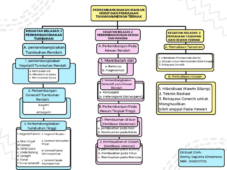 Tugas_Membuat_Peta_Konsep_Berbentuk_Canva_Konsep_Dasar_IPA_PDGK4103 PDF