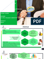 Pericia Contable Semana 2