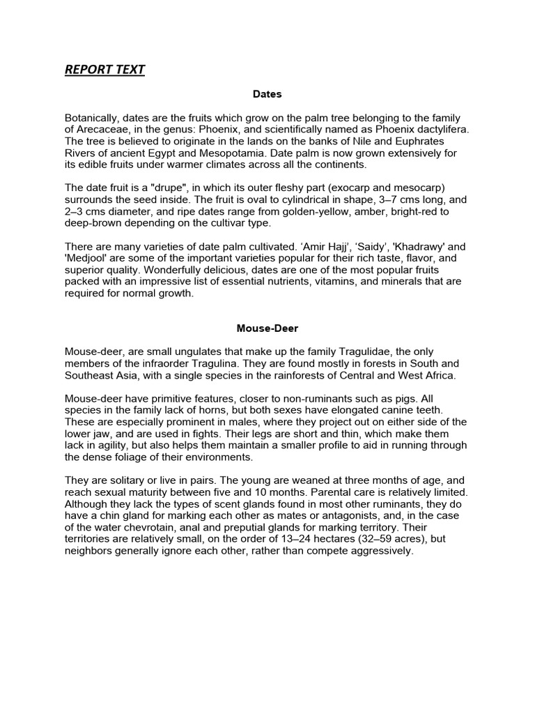 Report Text | PDF