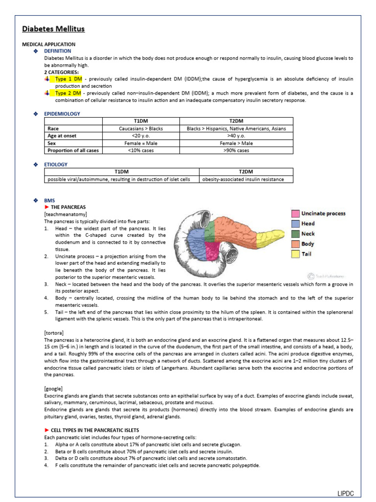 3 Diabetes Mellitus (DM) | PDF | Pancreas | Diabetes