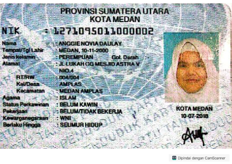 KTP Anggi | PDF