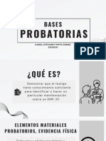 Bases Probatorias