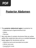 Flank Incisions in Urology Surgery | PDF | Kidney | Abdomen