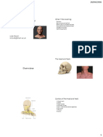 105 - Head and Neck Anatomy Session