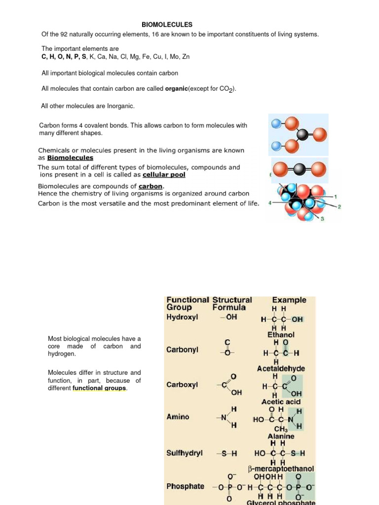 BIOMOLECULES PDF