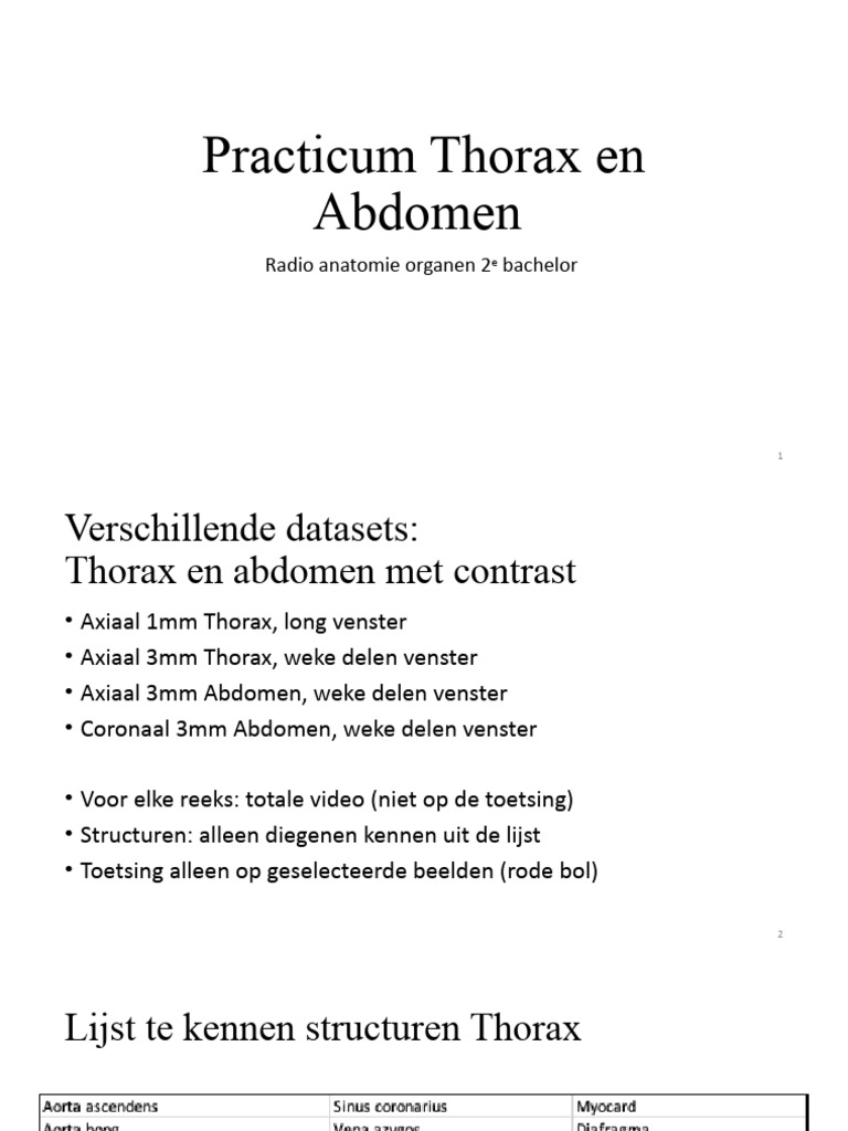 Practicum Thorax Abdomen 2020 Wit | PDF