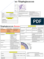 Parcial 2 Staphylococcus