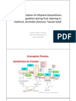 Biosintesis Del Etileno en Kiwi