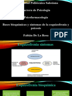 Bases Bioquímicas y Sintomas de La Esquizofrenia y Psicosis