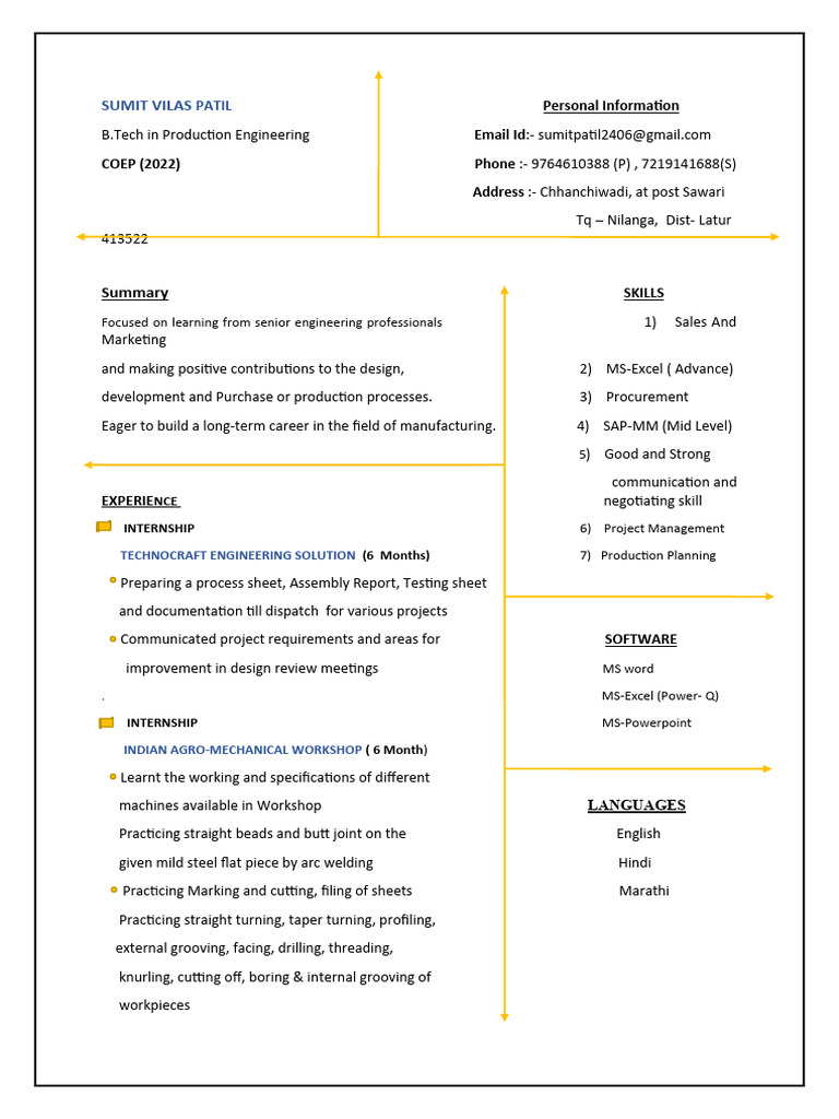 Resume Format PDF - 1716383701