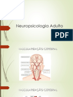 Neuropsicologia Adulto