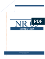 NR 5 Cipa Comentada PDF