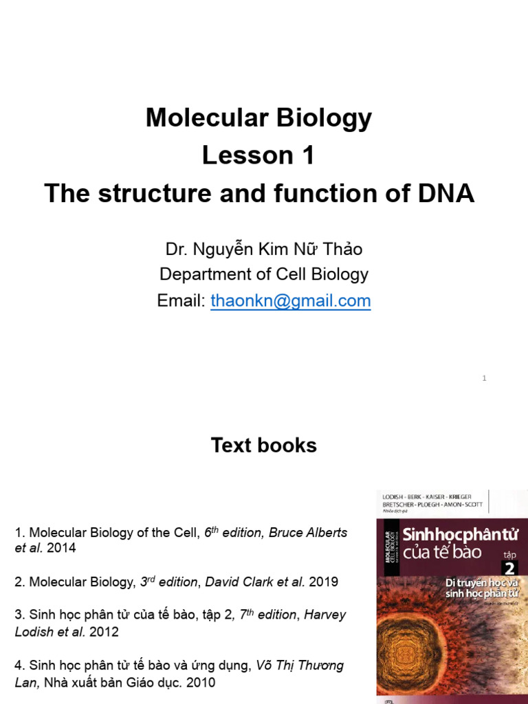 Lesson 1 - Molecular Biology | PDF | Dna | Nucleic Acid Double Helix