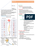 VINDICATE Mnemonic for Diagnosis | PDF | Medical Diagnosis ...