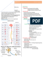 CA II Prefinal Neuro 1