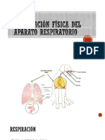 Clase 8 - Exploración Física Del Aparato Respiratorio