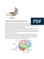 Anatomi dan Fungsi Otak Manusia