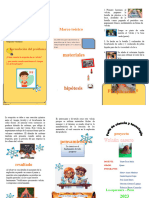 Triptico Proyecto