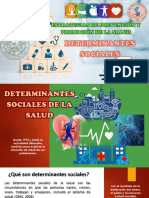 Sesión Ii - Determinantes Sociales en Salud