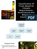 Fruits Classification