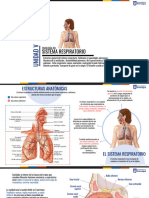 CLASE 7 - Sistema Respiratorio