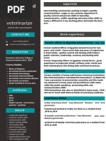 Professional CV Resume - 2 Q Q