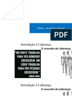 Introdução À Liderança