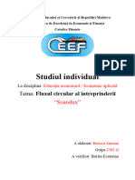 Studiul Individual Economie