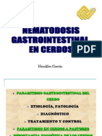 Nematodosis Gastrointestinal en Cerdos